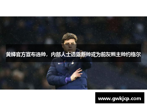 黄蜂官方宣布选帅，内部人士透露新帅或为前灰熊主帅约格尔
