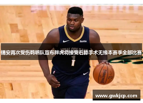 锡安再次受伤鹈鹕队宣布胖虎将接受右膝手术无缘本赛季全部比赛